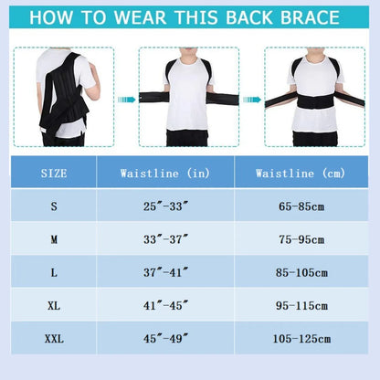 Back Brace Posture Corrector Back Lumbar Suppor